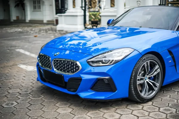 BMW Z4 BLUE