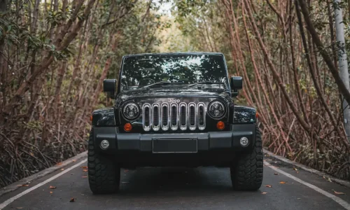 Jeep Wrangler Sahara (1) 2